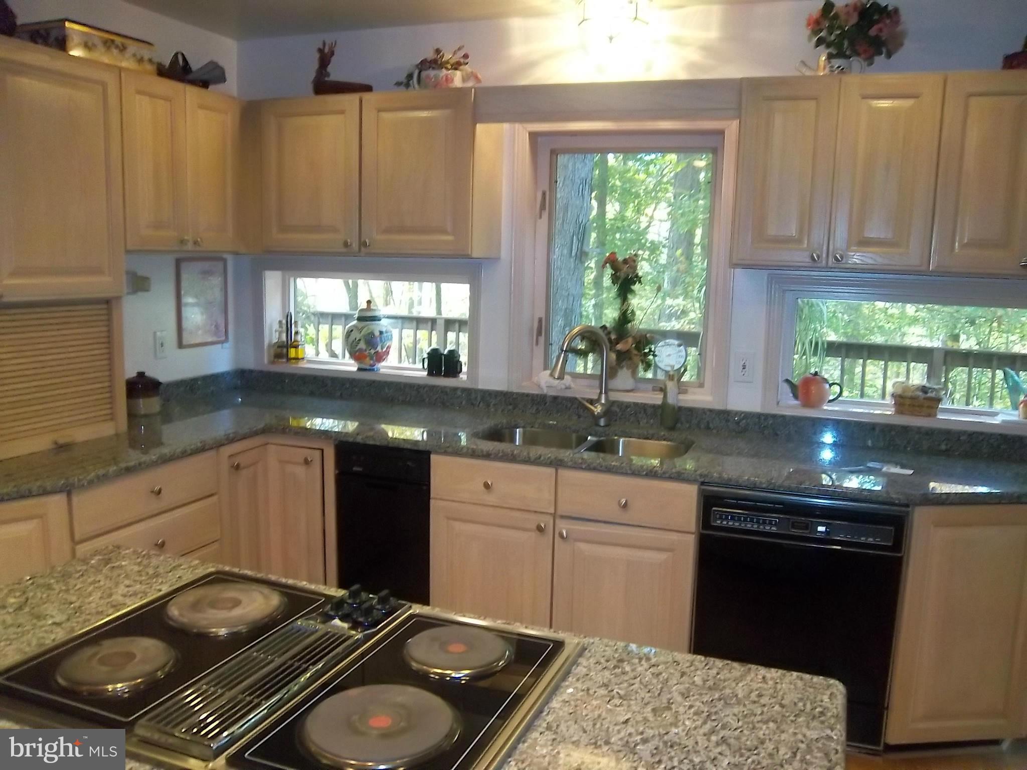 2450 Dalrymple Road Sunderland, MD 20689 - Photo 9 of 29 Kitchen