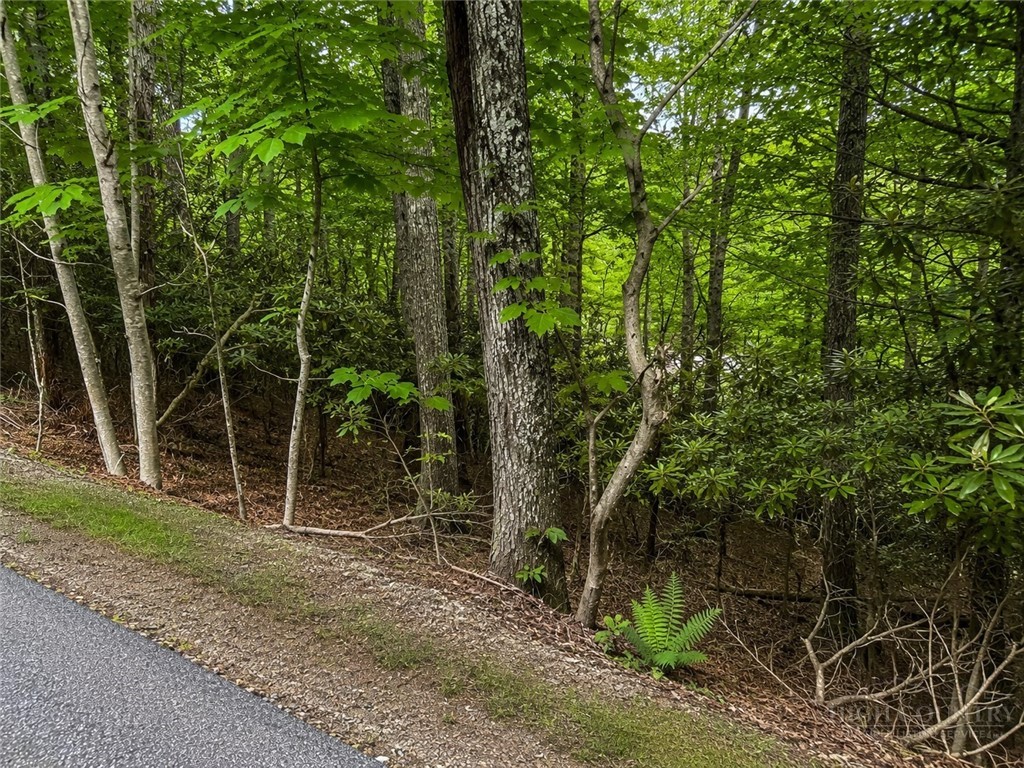 Walnut Road Boone, NC 28607 - Photo 3 of 5
