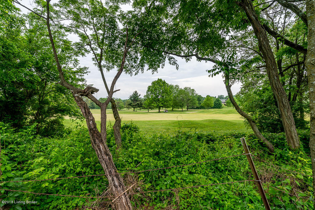4835 Napa Ridge Way Louisville, KY 40299 - Photo 4 of 73 Golf Course lot
