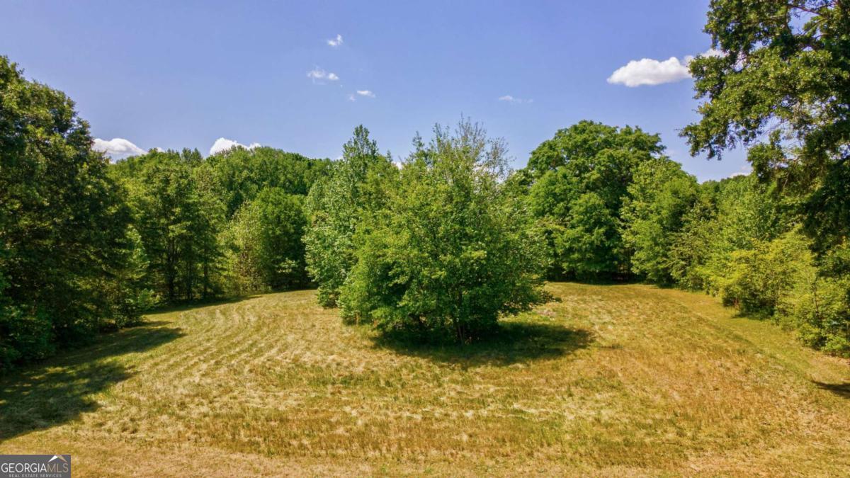 1221 Barber Creek Road Statham, GA 30666 - Photo 48 of 65