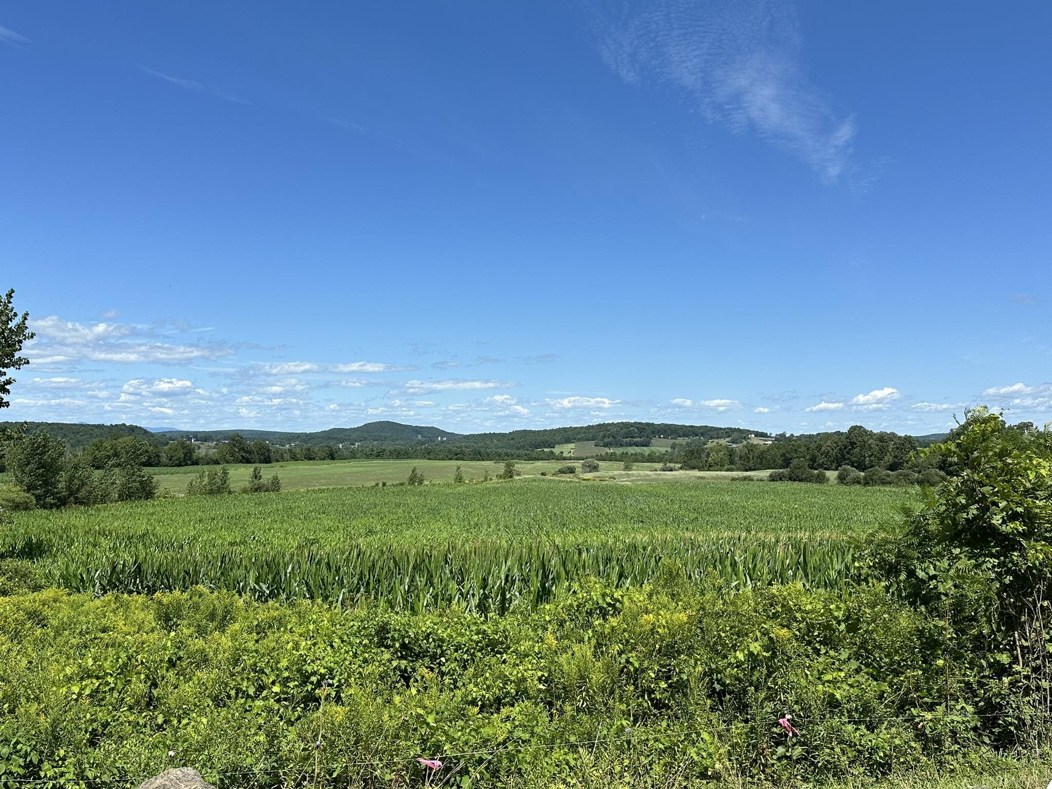 223 Royce Hill Road Orwell, VT 05760 - Photo 13 of 40