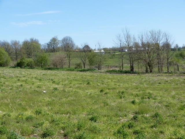 504 Steele Road Paris, KY 40361 - Photo 12 of 12 Listing Photo