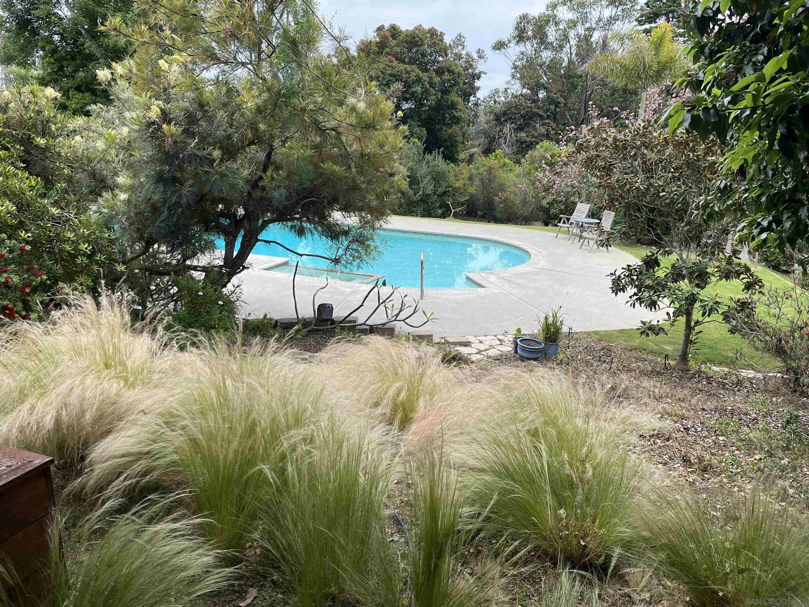 4688 Sun Valley Road Del Mar, CA 92014 - Photo 31 of 40 a view of a yard with a tree