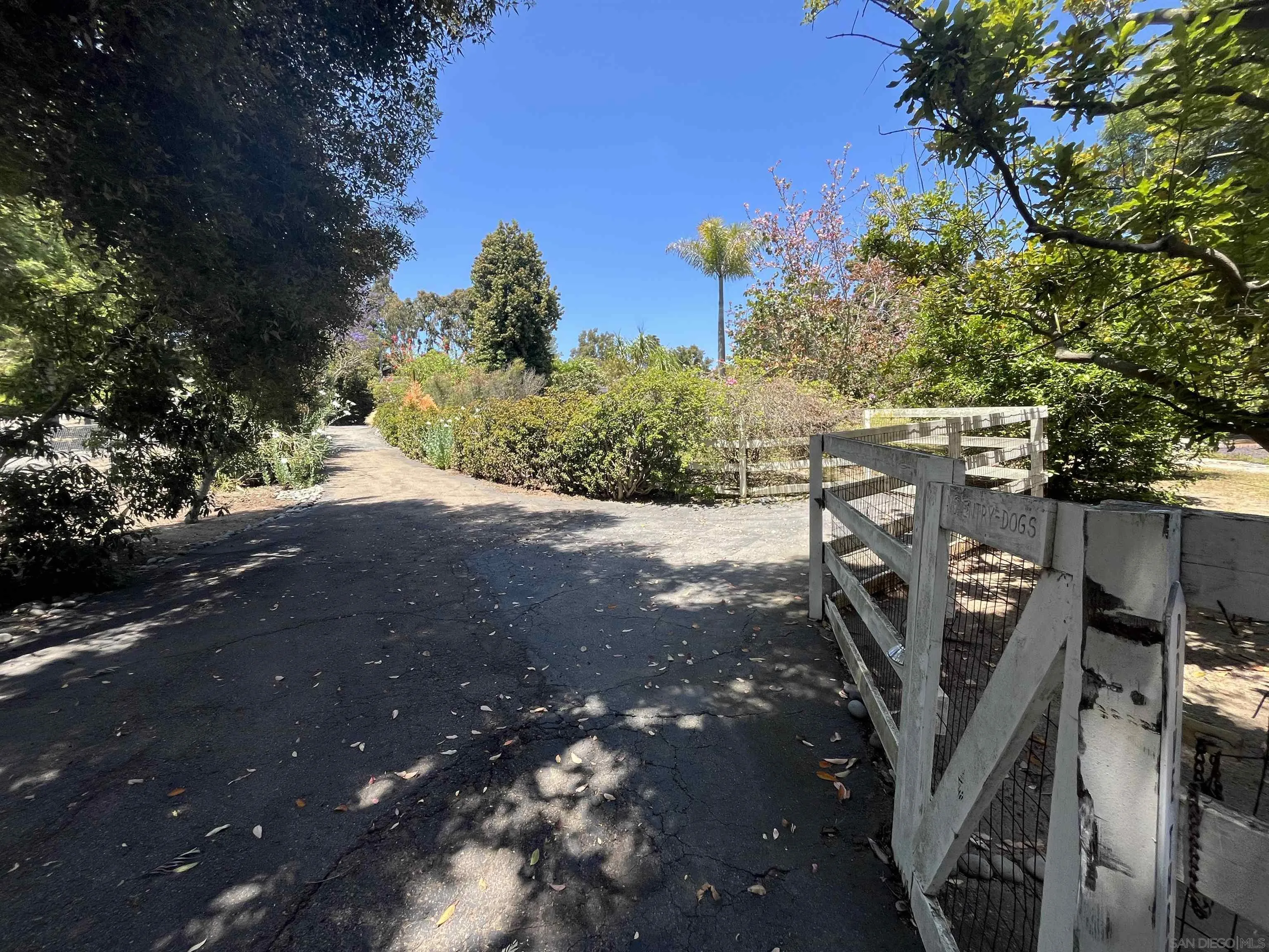 4688 Sun Valley Road Del Mar, CA 92014 - Photo 37 of 40 a view of a backyard with chairs