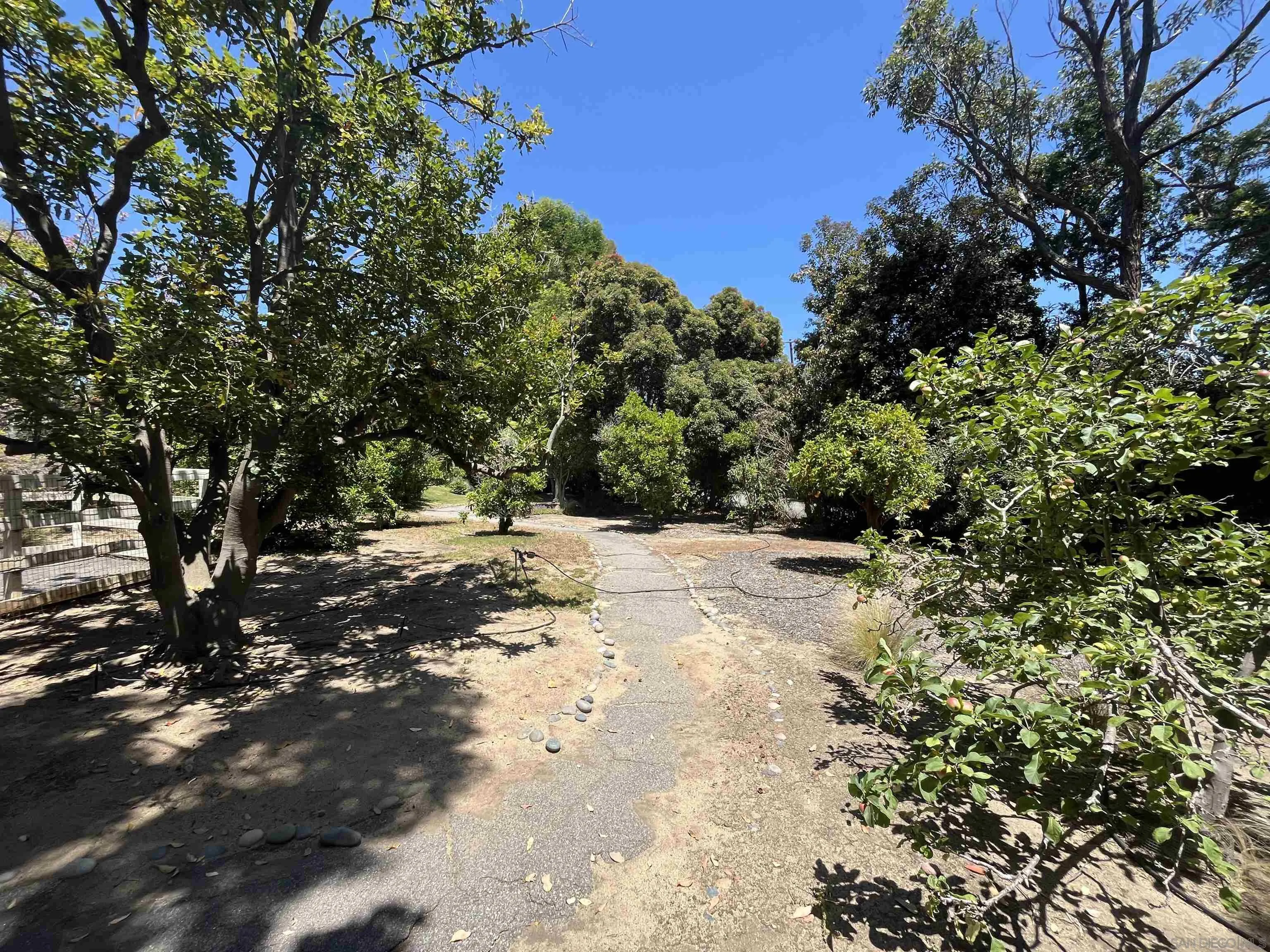 4688 Sun Valley Road Del Mar, CA 92014 - Photo 38 of 40 a view of dirt yard with a tree