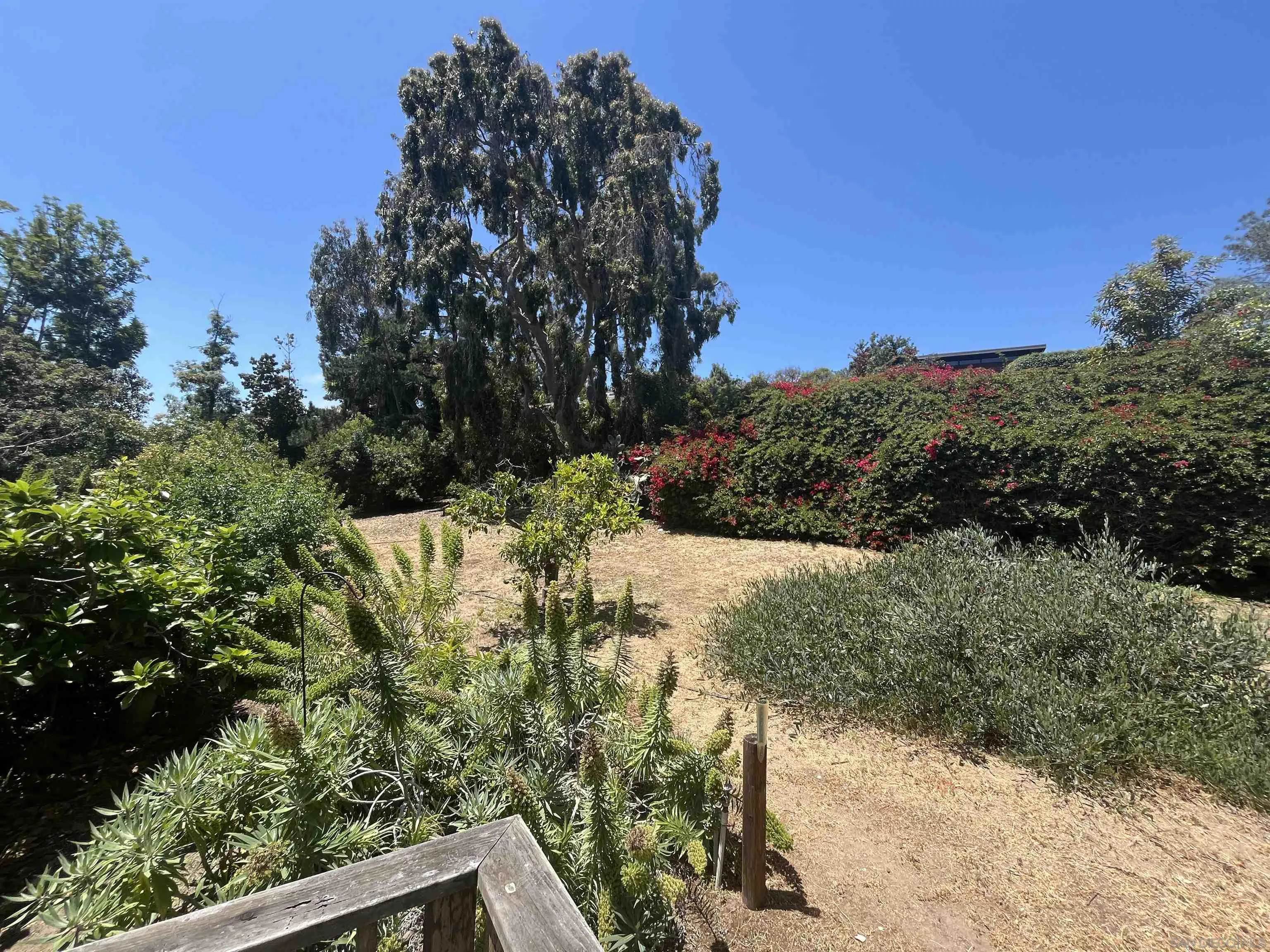 4688 Sun Valley Road Del Mar, CA 92014 - Photo 39 of 40 a view of a yard with a tree