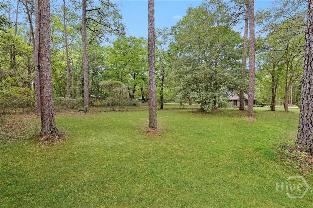 84 Arden Loop Circle Ellabell, GA 31308 - Photo 2 of 29