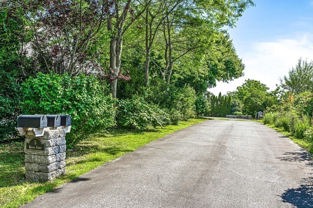 5 Babson Street, Unit 2 Gloucester, MA 01930 - Photo 22 of 23 a view of a backyard with plants and large trees