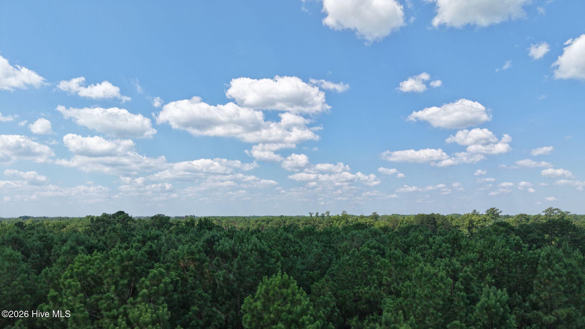 0 Prospect Road Pembroke, NC 28372 - Photo 18 of 45