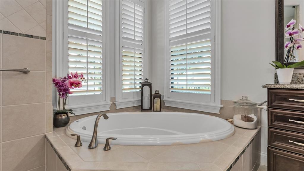 6538 Eagle View Loop Lakeland, FL 33813 - Photo 27 of 89 a bath tub sitting next to a window