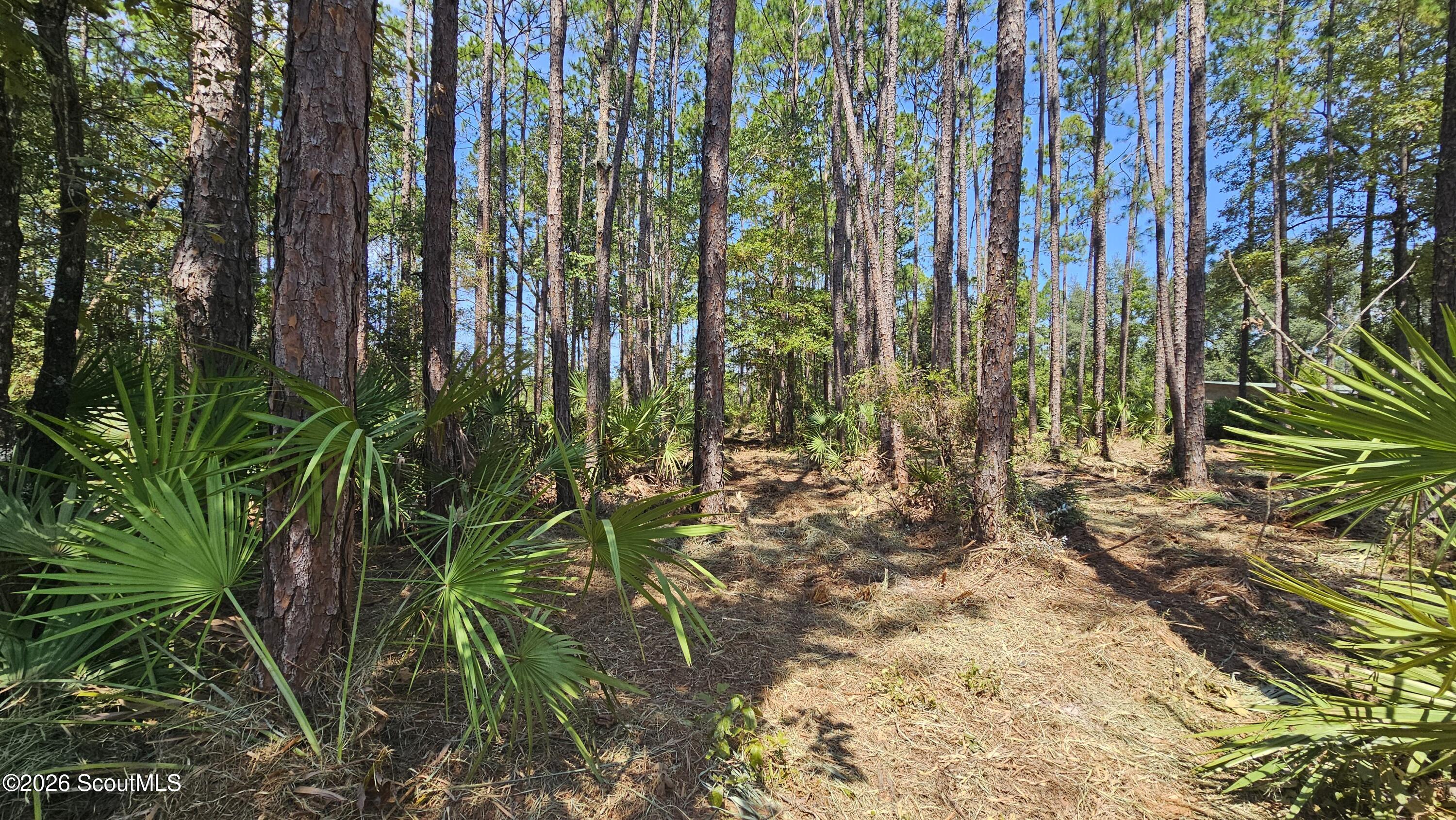 323 Baker Creek Road Nahunta, GA 31553 - Photo 2 of 6 20260820_120435