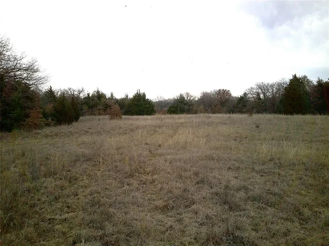a view of a field with trees in background
