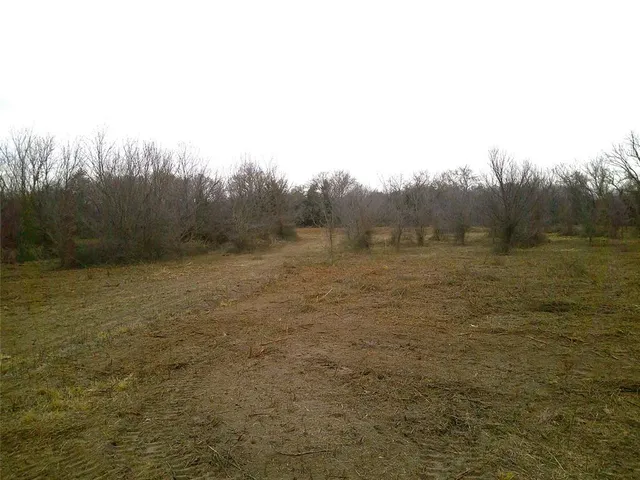 a view of a field with trees in the background