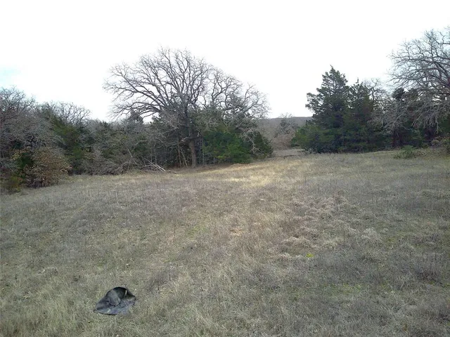 a view of outdoor space and yard
