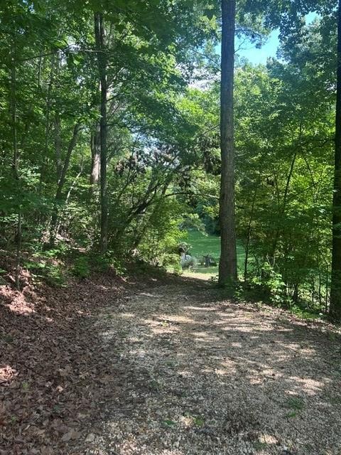 620 Eva Flatwoods Road Eva, TN 38333 - Photo 30 of 40
