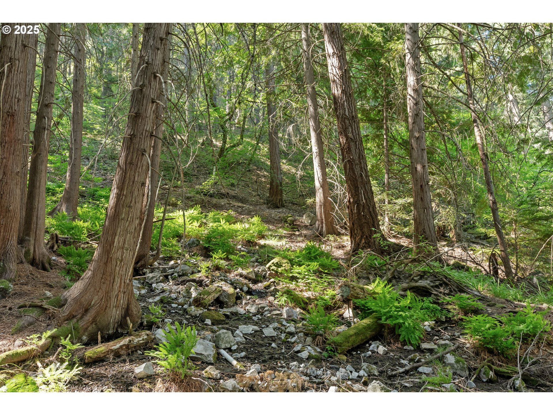1910 Proctor Road Mosier, OR 97040 - Photo 31 of 43