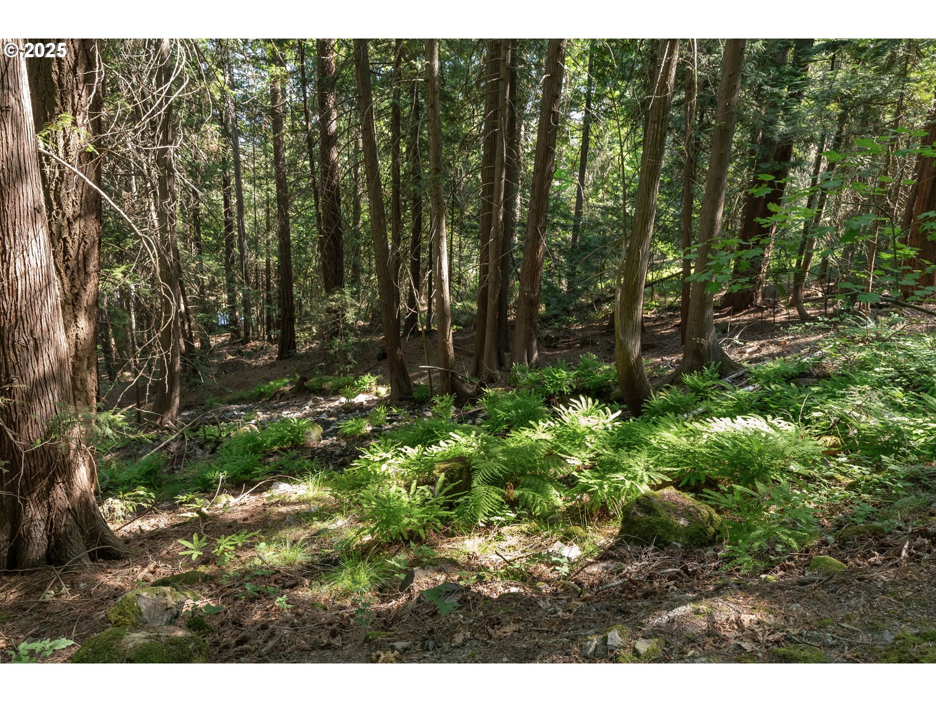 1910 Proctor Road Mosier, OR 97040 - Photo 32 of 43