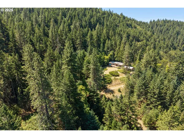 a map view of a forest