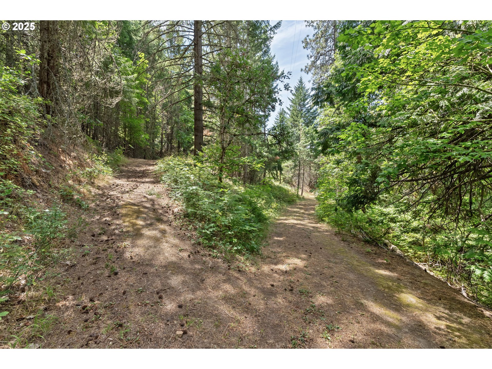 1910 Proctor Road Mosier, OR 97040 - Photo 41 of 43