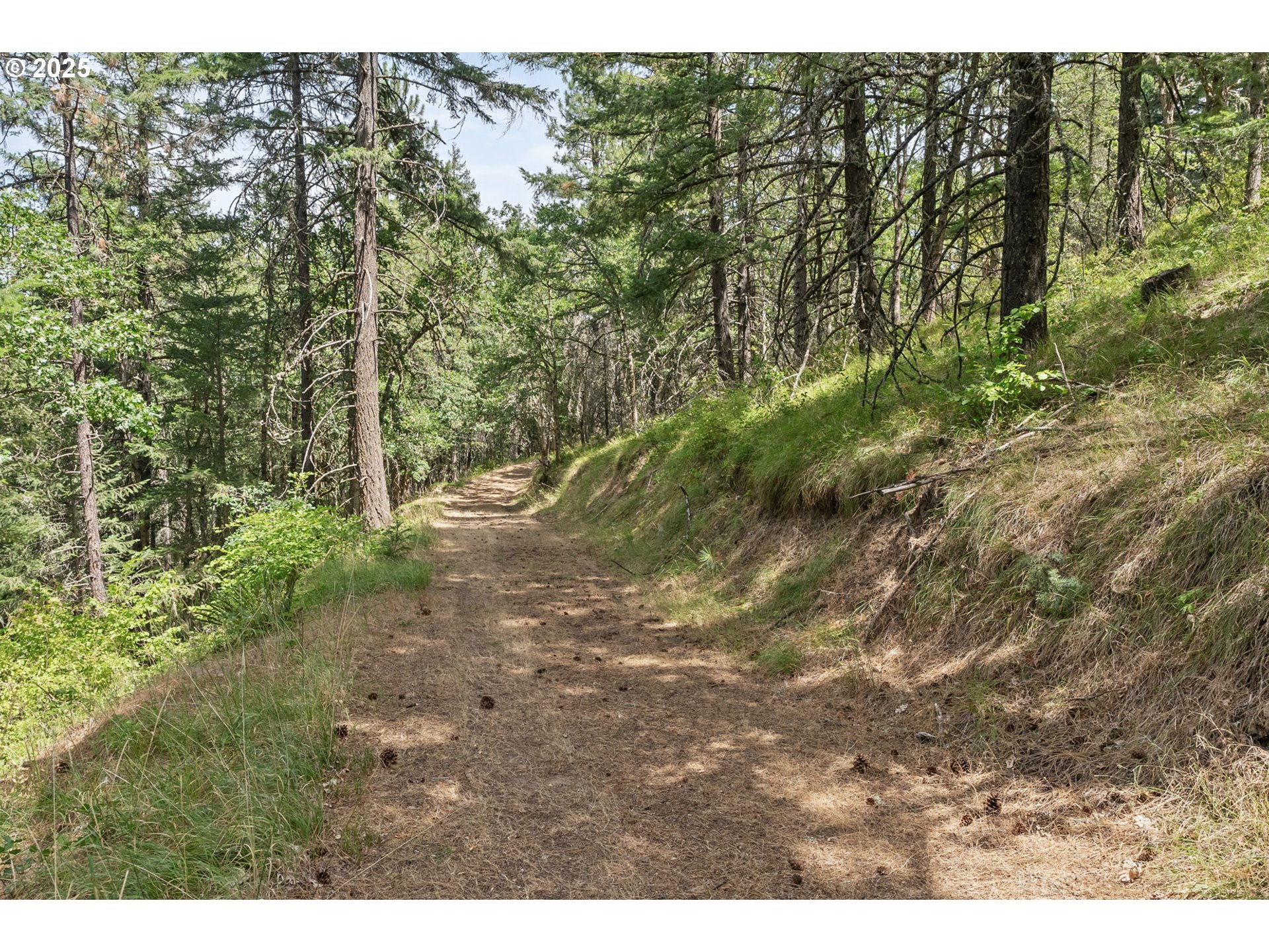 1910 Proctor Road Mosier, OR 97040 - Photo 42 of 43