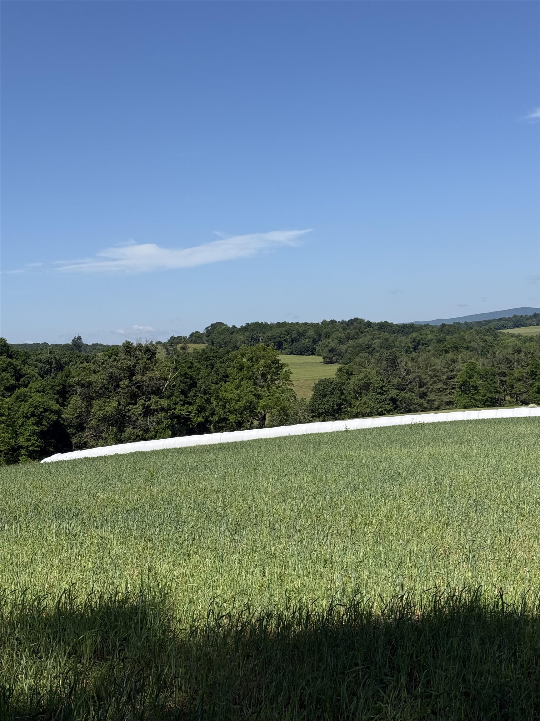 Tbd Arborhill Road Staunton, VA 24401 - Photo 14 of 25