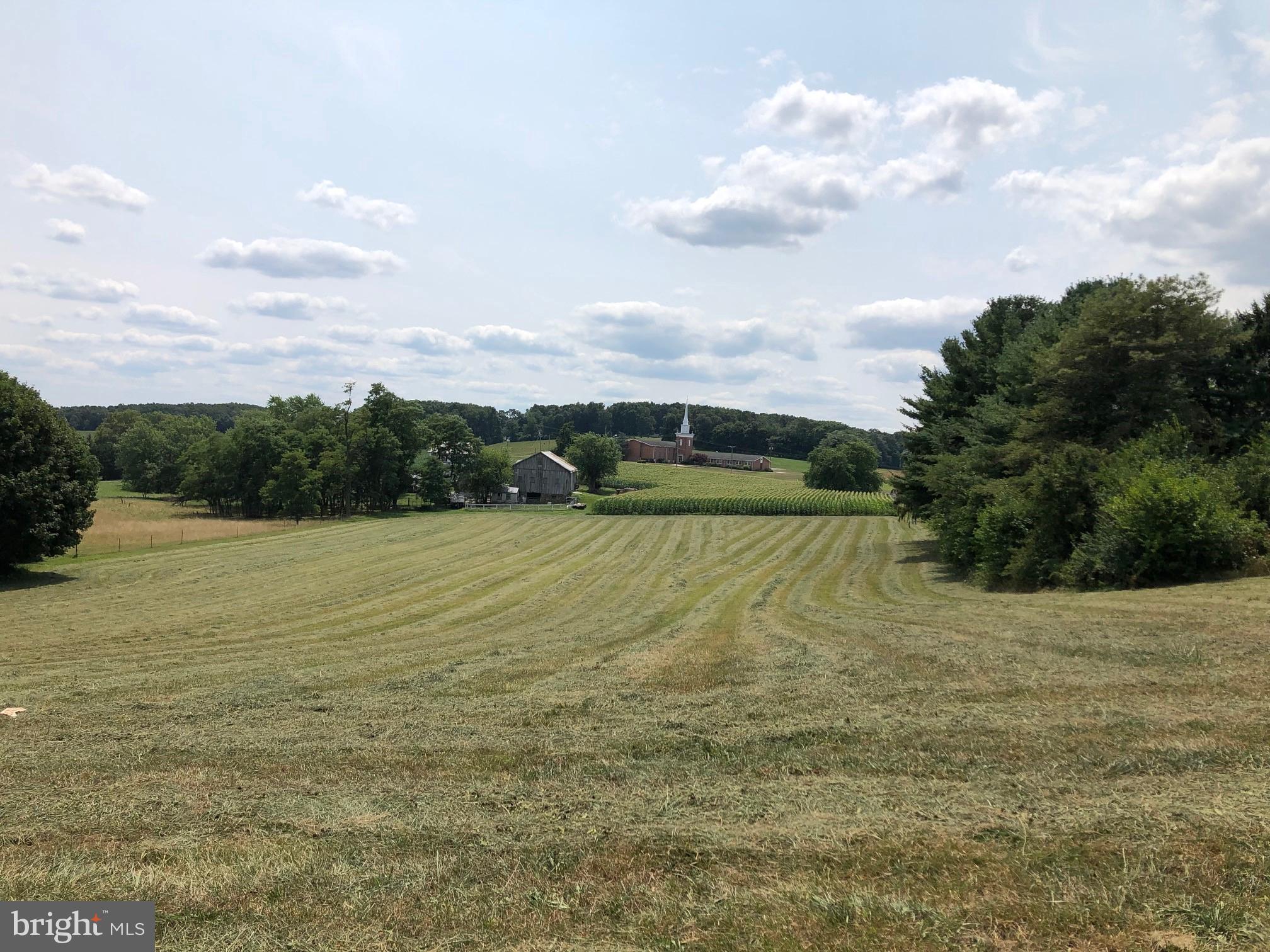 874-884 Delta Road Red Lion, PA 17356 - Photo 5 of 27 a view of outdoor space and yard
