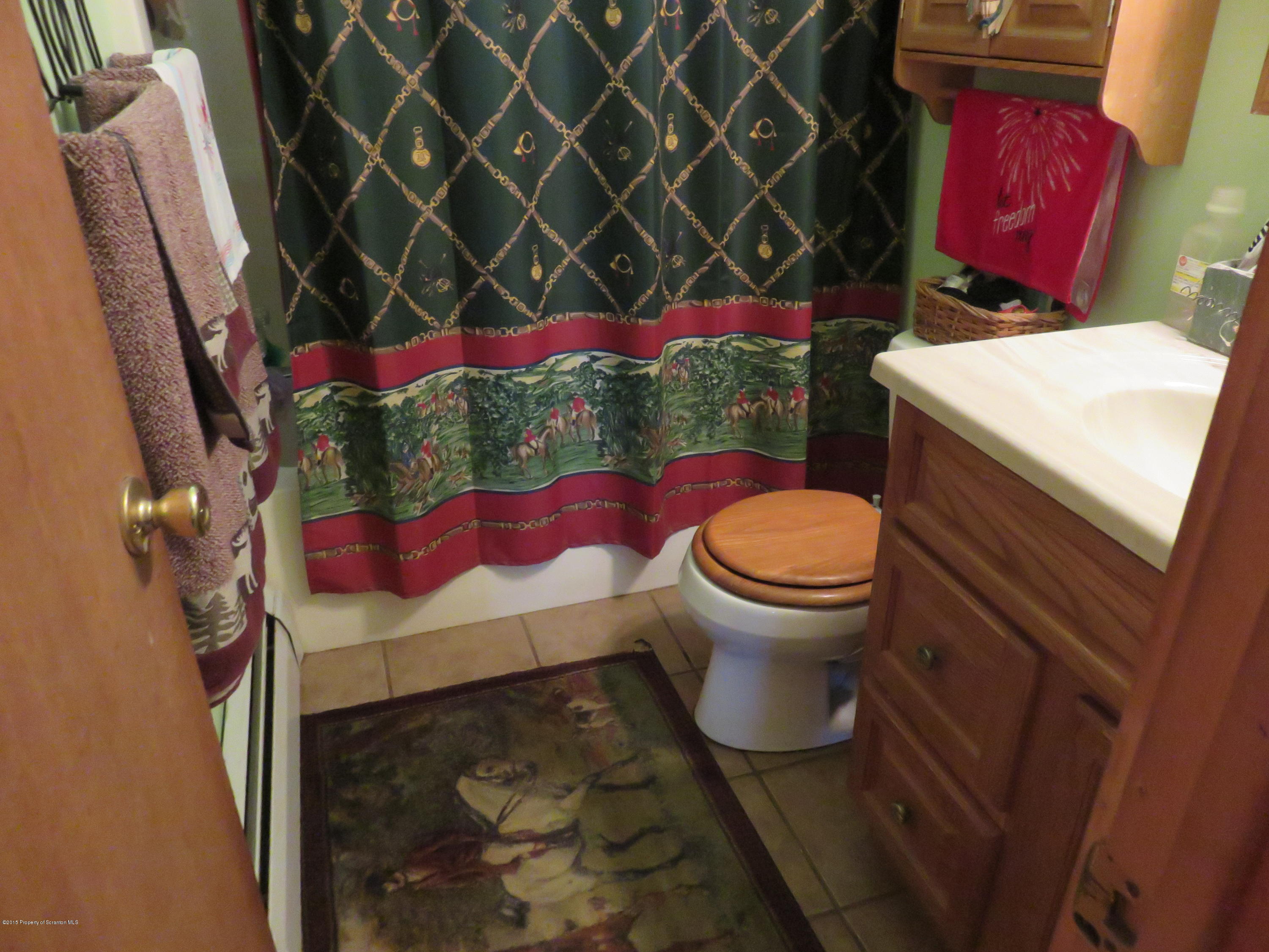 138 Spring Hill Road Moscow, PA 18444 - Photo 12 of 30 a bathroom with a toilet and a sink