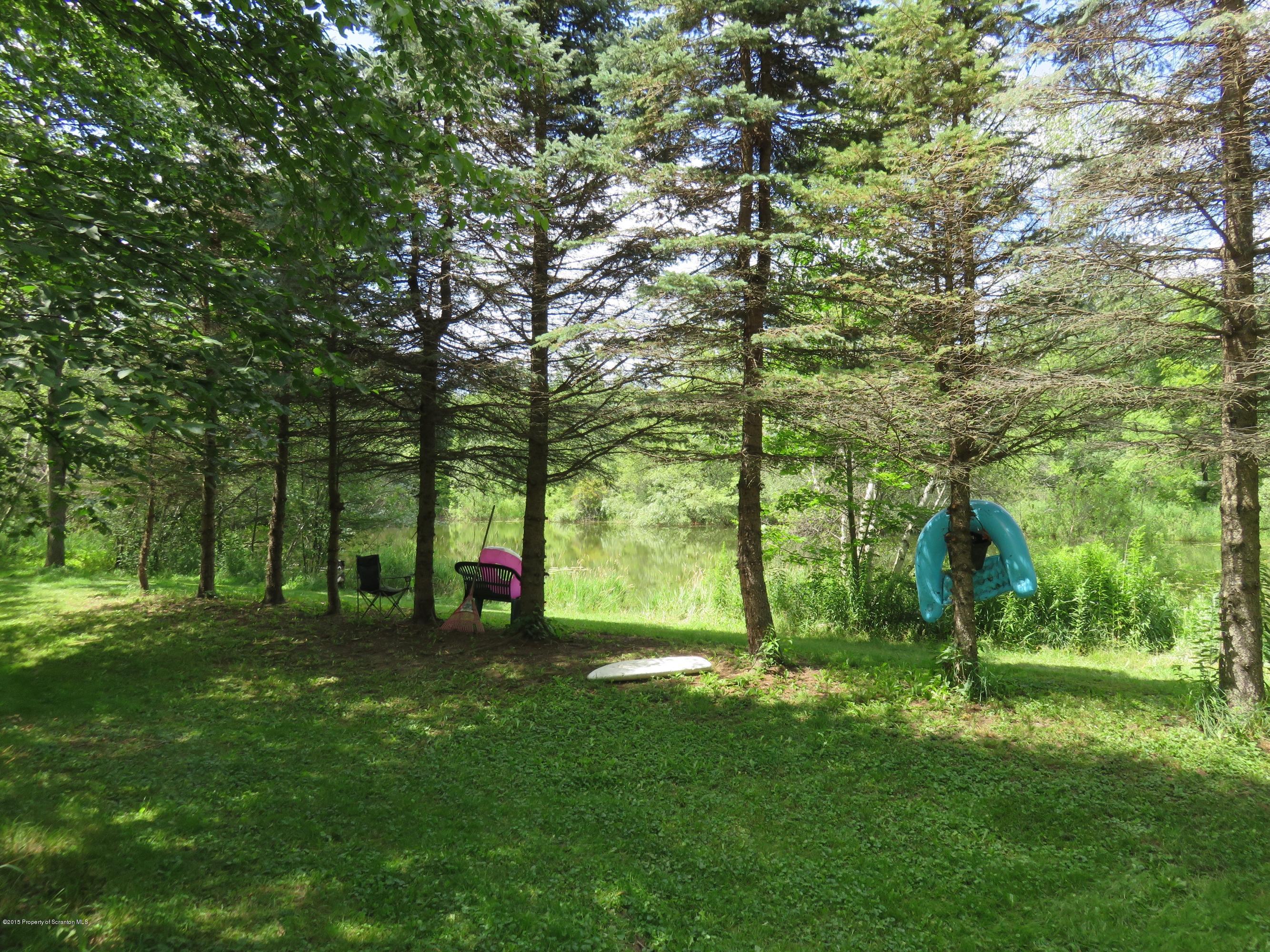 138 Spring Hill Road Moscow, PA 18444 - Photo 16 of 30 a view of a park with large trees