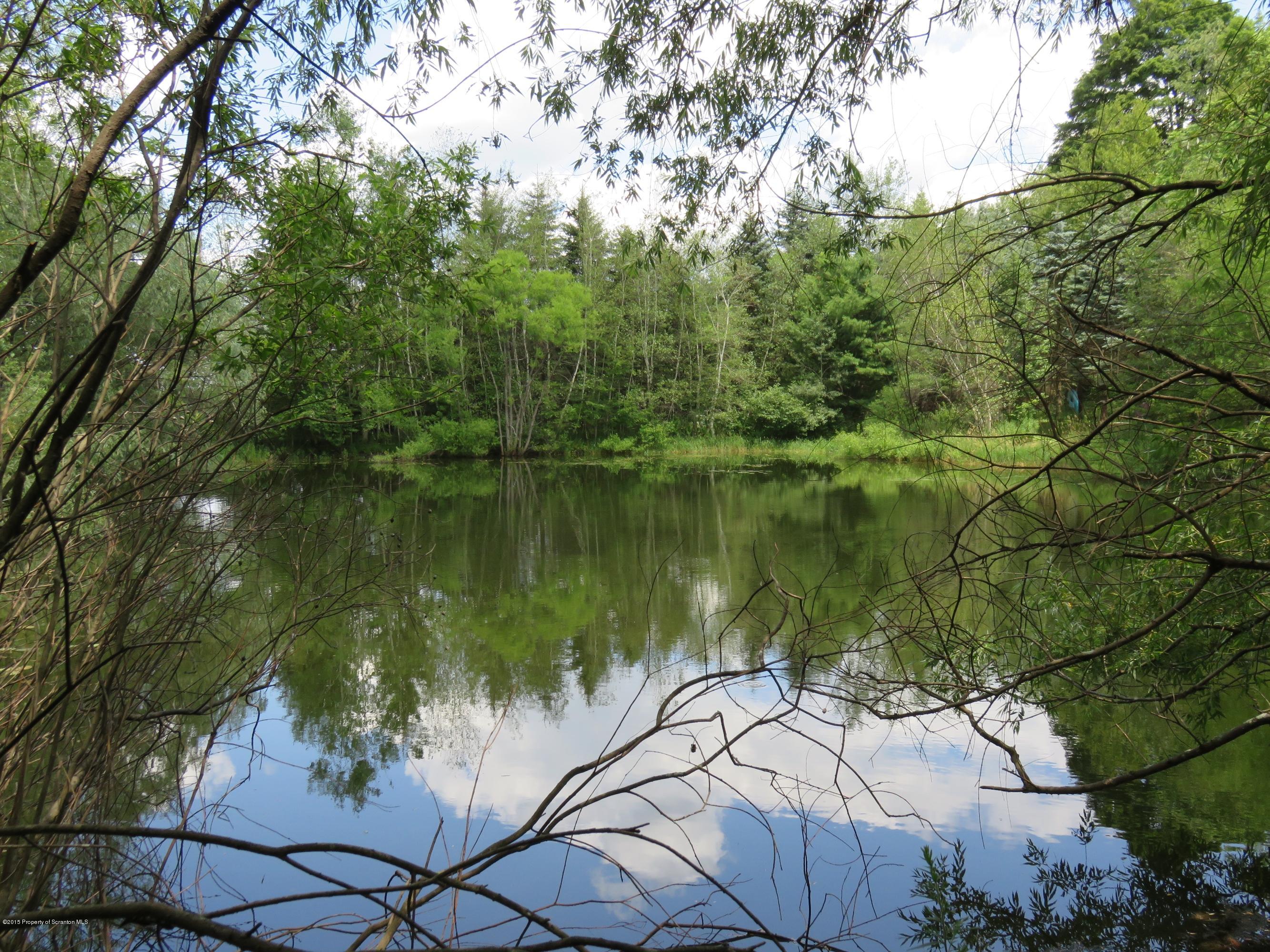 138 Spring Hill Road Moscow, PA 18444 - Photo 17 of 30 a view of a lake in middle of forest