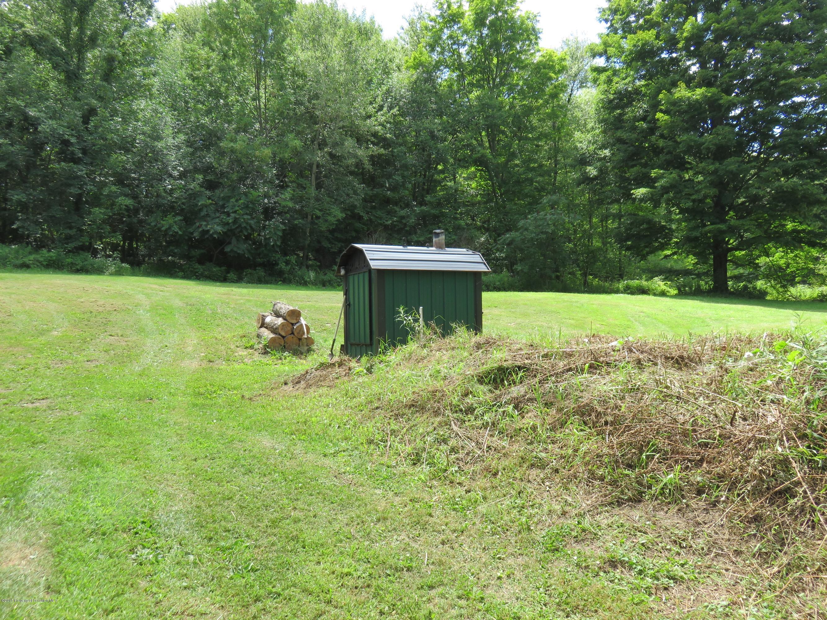138 Spring Hill Road Moscow, PA 18444 - Photo 29 of 30 a view of a big yard with large trees