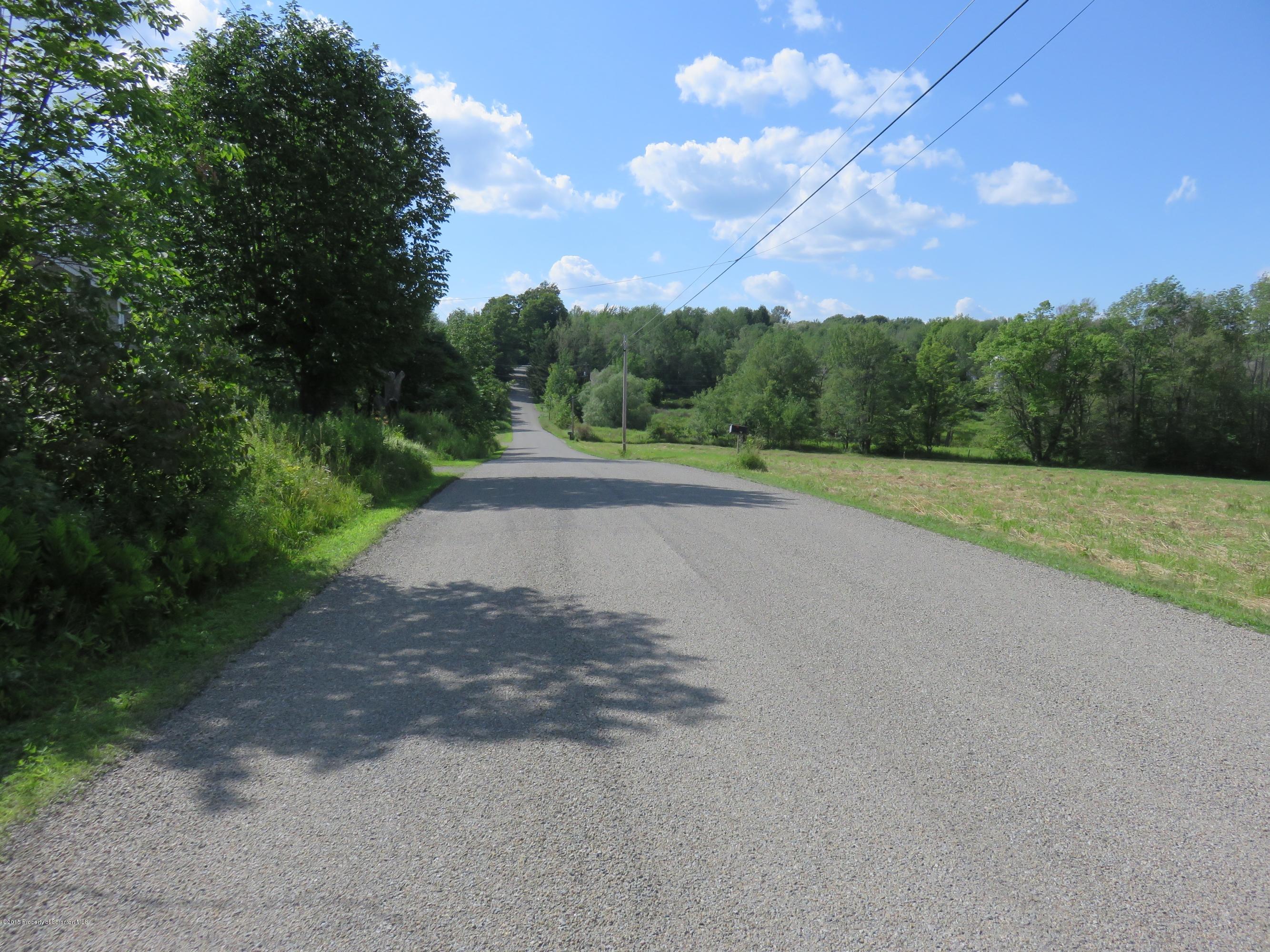 138 Spring Hill Road Moscow, PA 18444 - Photo 30 of 30 a view of a road with a yard