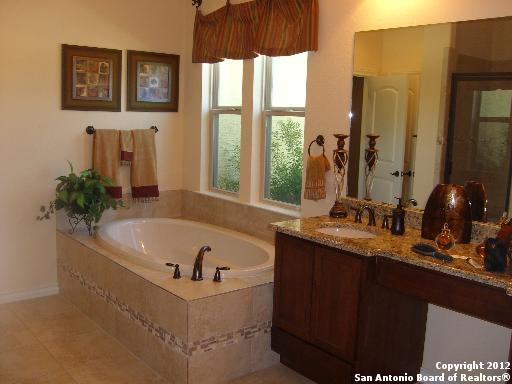 8835 Napa Landing Boerne, TX 78015 - Photo 9 of 21 a bath tub sitting next to a bathroom sink and a window