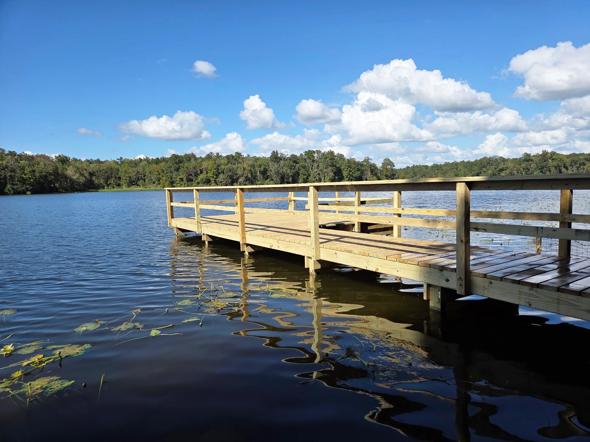 565 Gould Road Quincy, FL 32351 - Photo 28 of 69