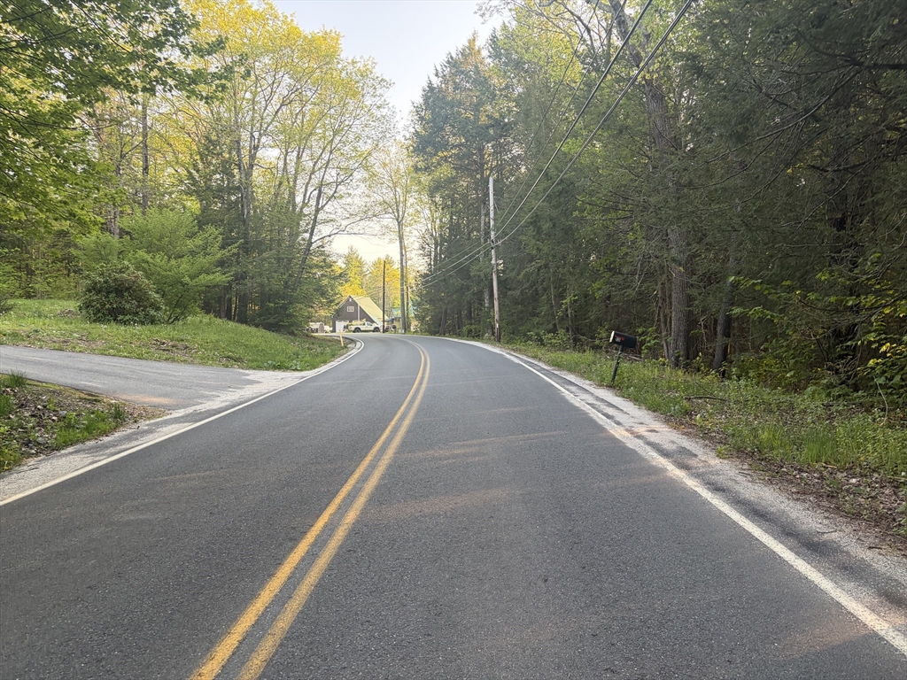 11 South Chesterfield Road Goshen, MA 01096 - Photo 4 of 30 a view of a street with a trees all around