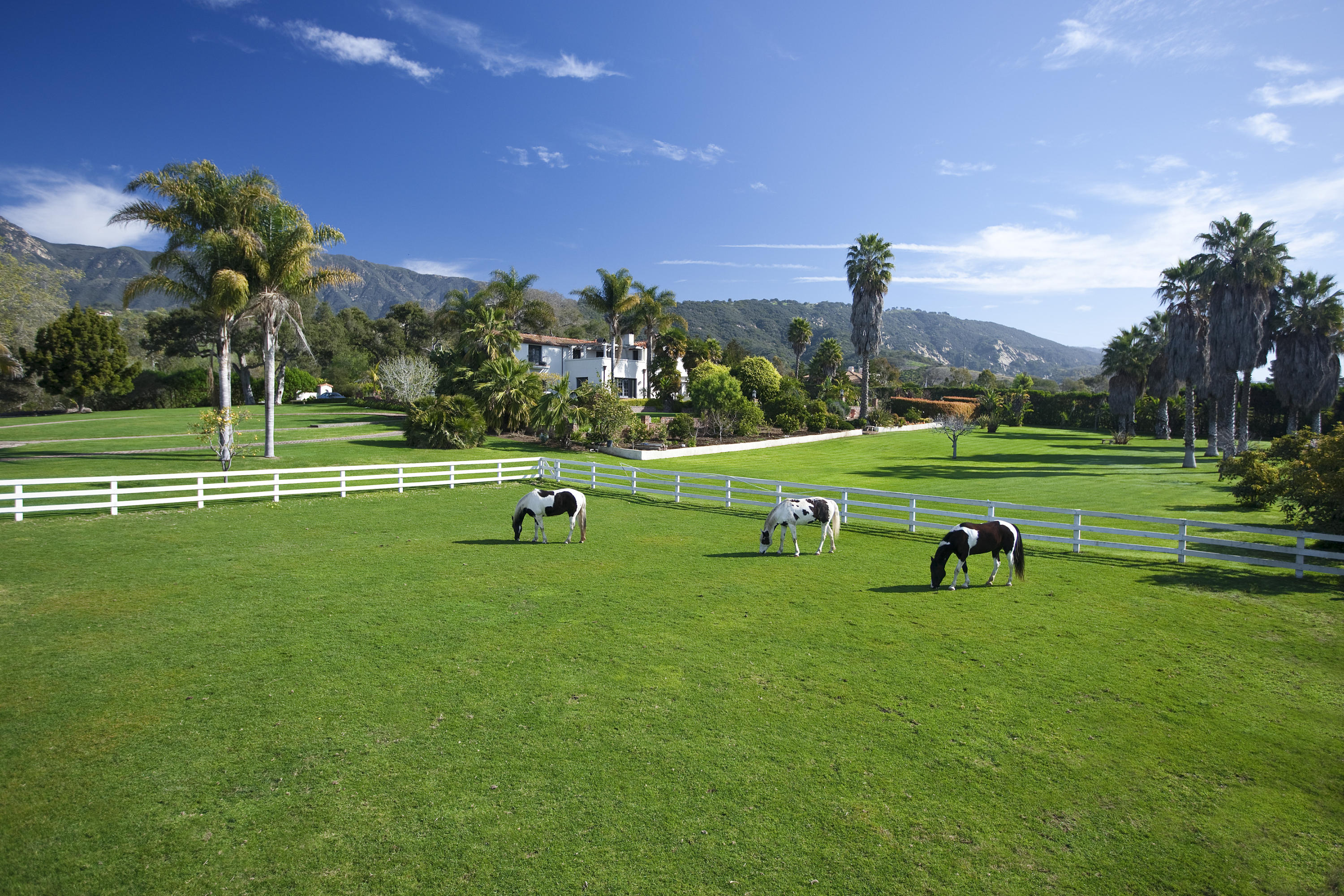 285 Toro Canyon Road Carpinteria, CA 93013 - Photo 1 of 26 Setting