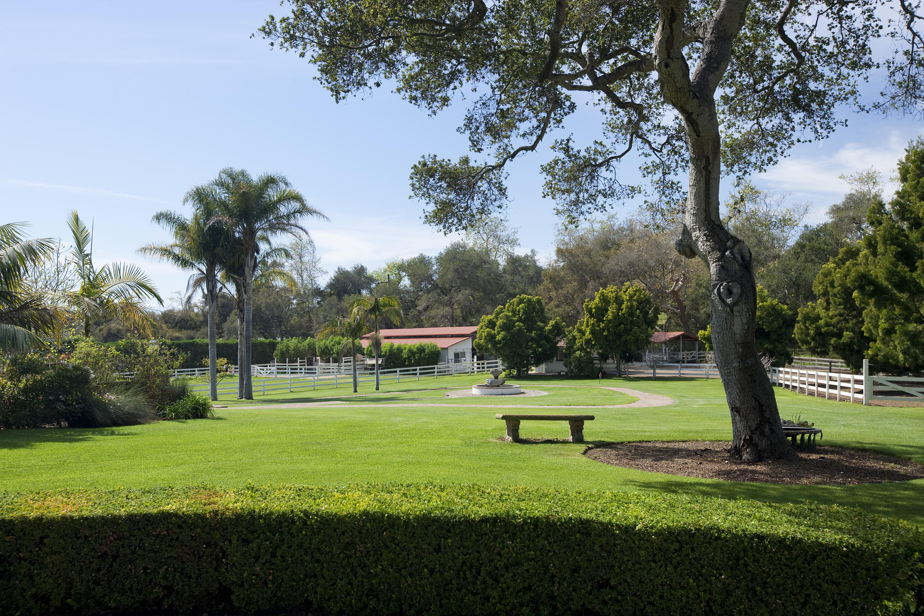 285 Toro Canyon Road Carpinteria, CA 93013 - Photo 25 of 26 Yard