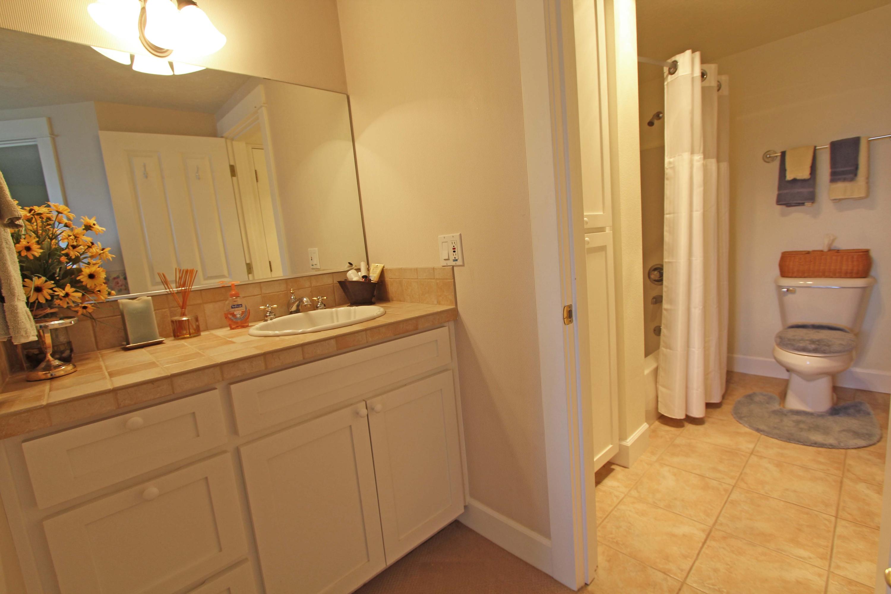 1815 Maxwell Mountain Road Oceanside, OR 97134 - Photo 15 of 26 lower level ensuite bathroom