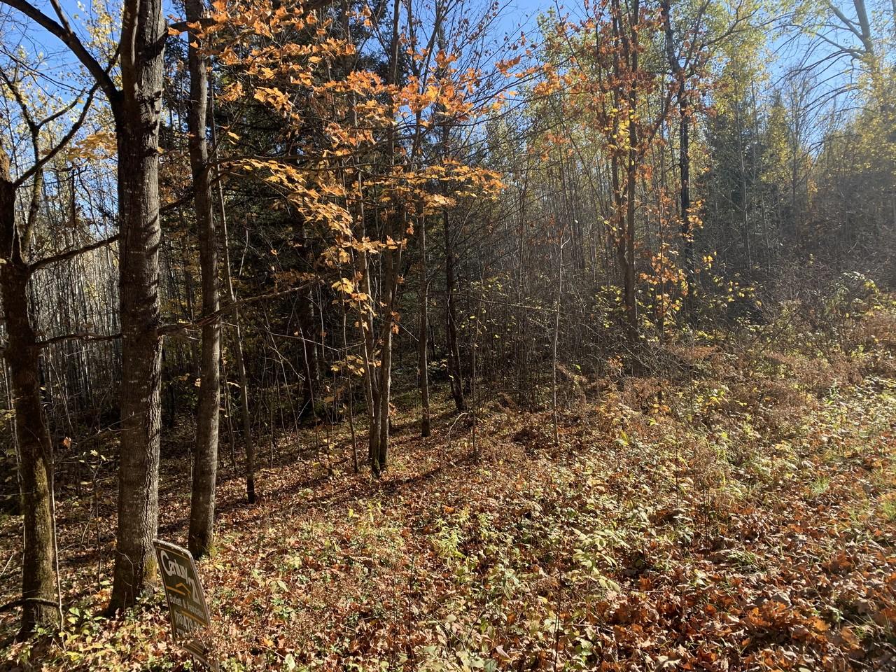 On Military Road, Unit 61 ACRES Eagle River, WI 54521 - Photo 17 of 17 Gallery Image 17