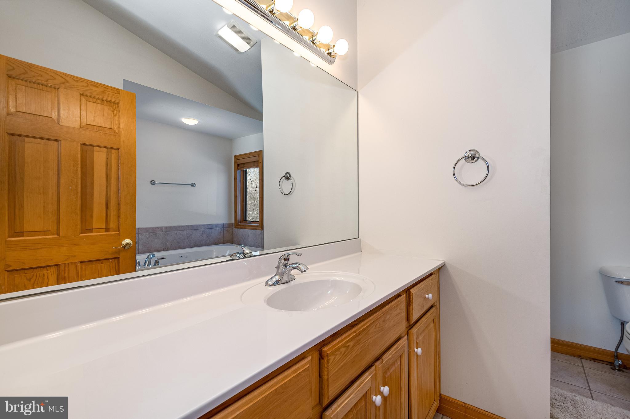 41 Wilson Circle Swanton, MD 21561 - Photo 22 of 63 a bathroom with a sink and a mirror