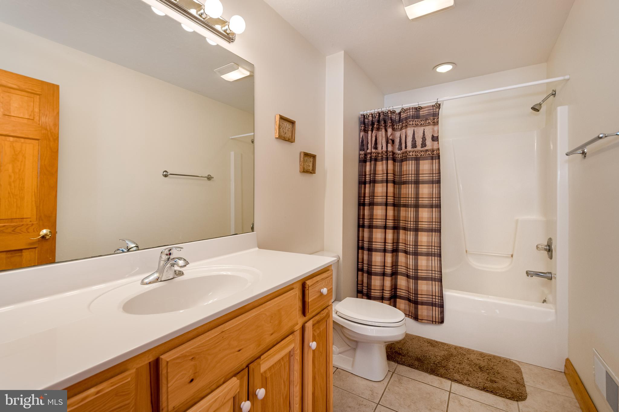 41 Wilson Circle Swanton, MD 21561 - Photo 23 of 63 a bathroom with a sink toilet vanity and shower