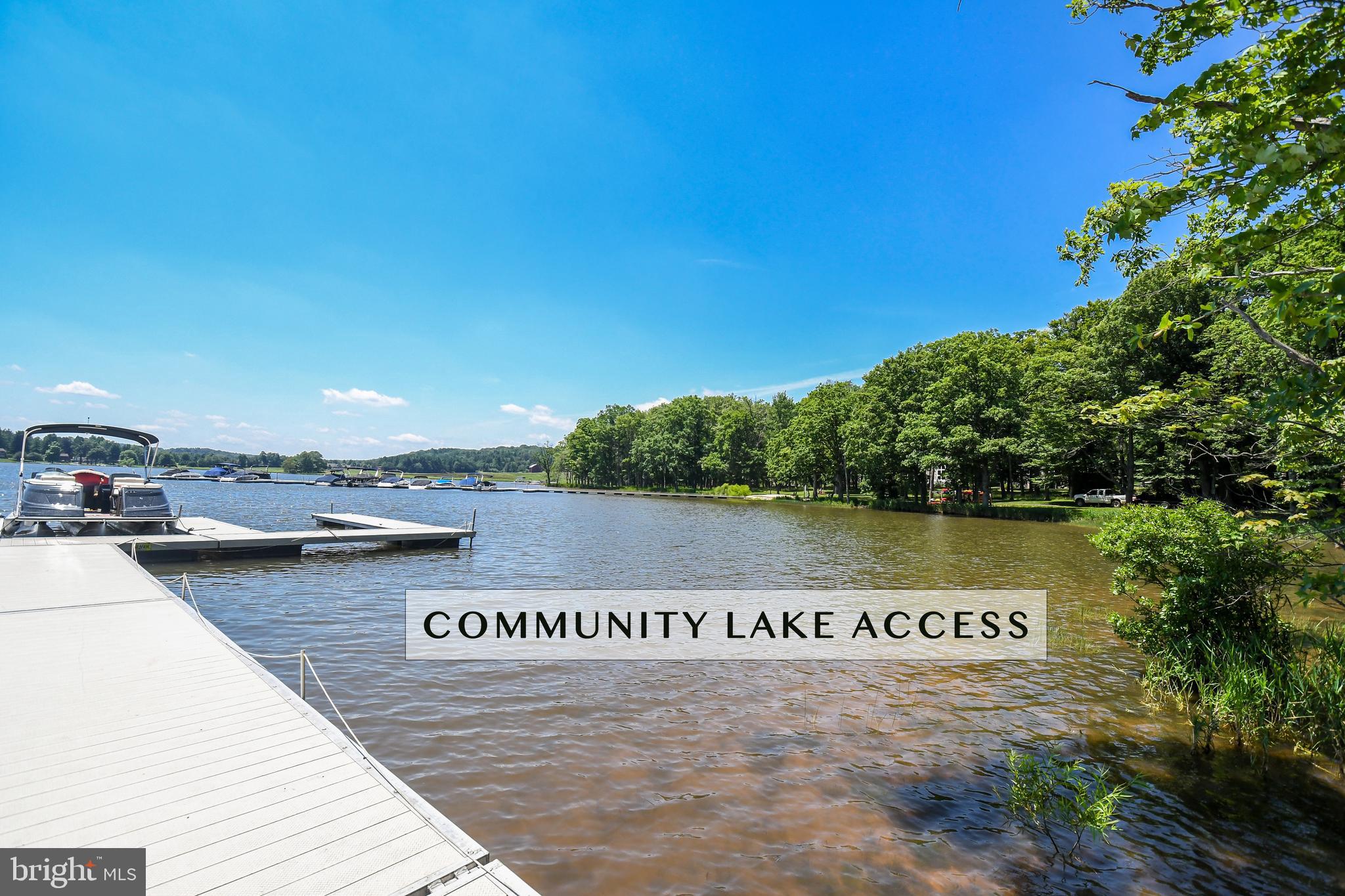 41 Wilson Circle Swanton, MD 21561 - Photo 63 of 63 a view of a street with a large trees