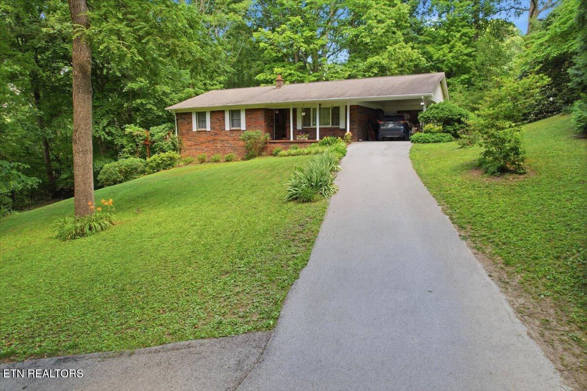 129 Jefferson Street Harrogate, TN 37752 - Photo 49 of 51 3-June_19_drone_photos_021