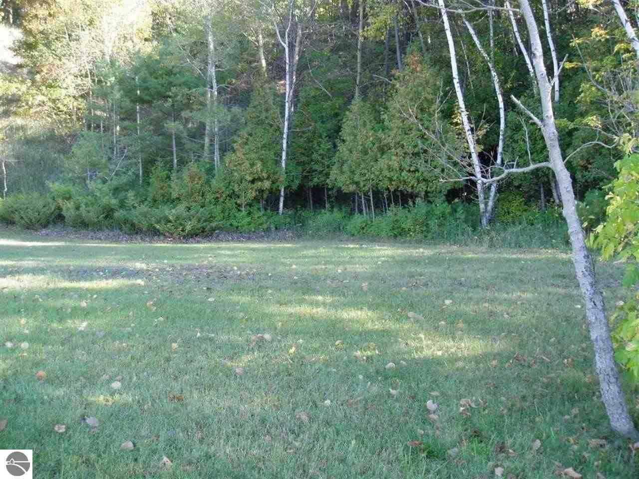 4930 Five Mile Road Williamsburg, MI 49690 - Photo 5 of 6 1777275-4.JPG