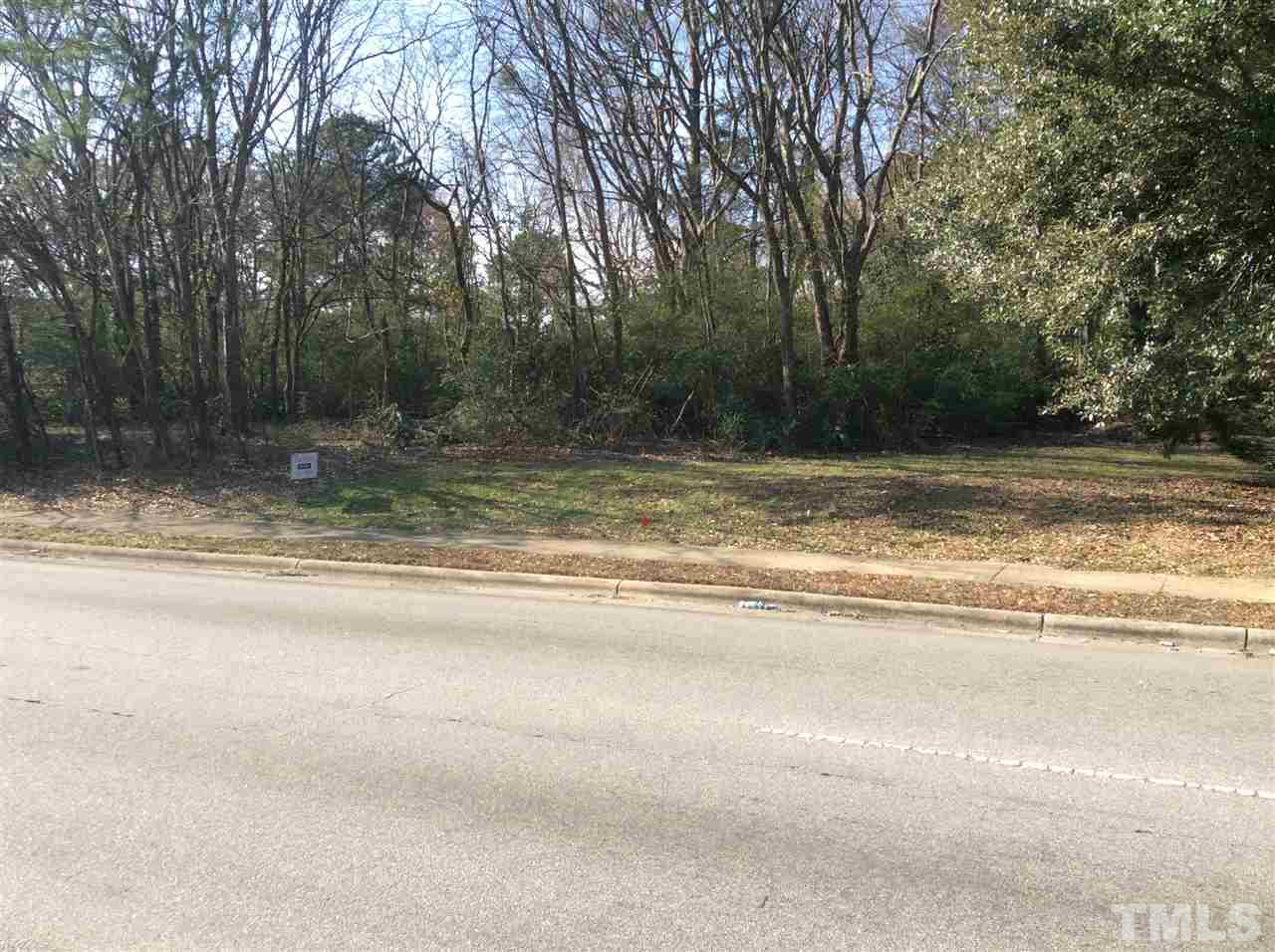 4091 North New Hope Road Raleigh, NC 27604 - Photo 2 of 3 a view of backyard with green space