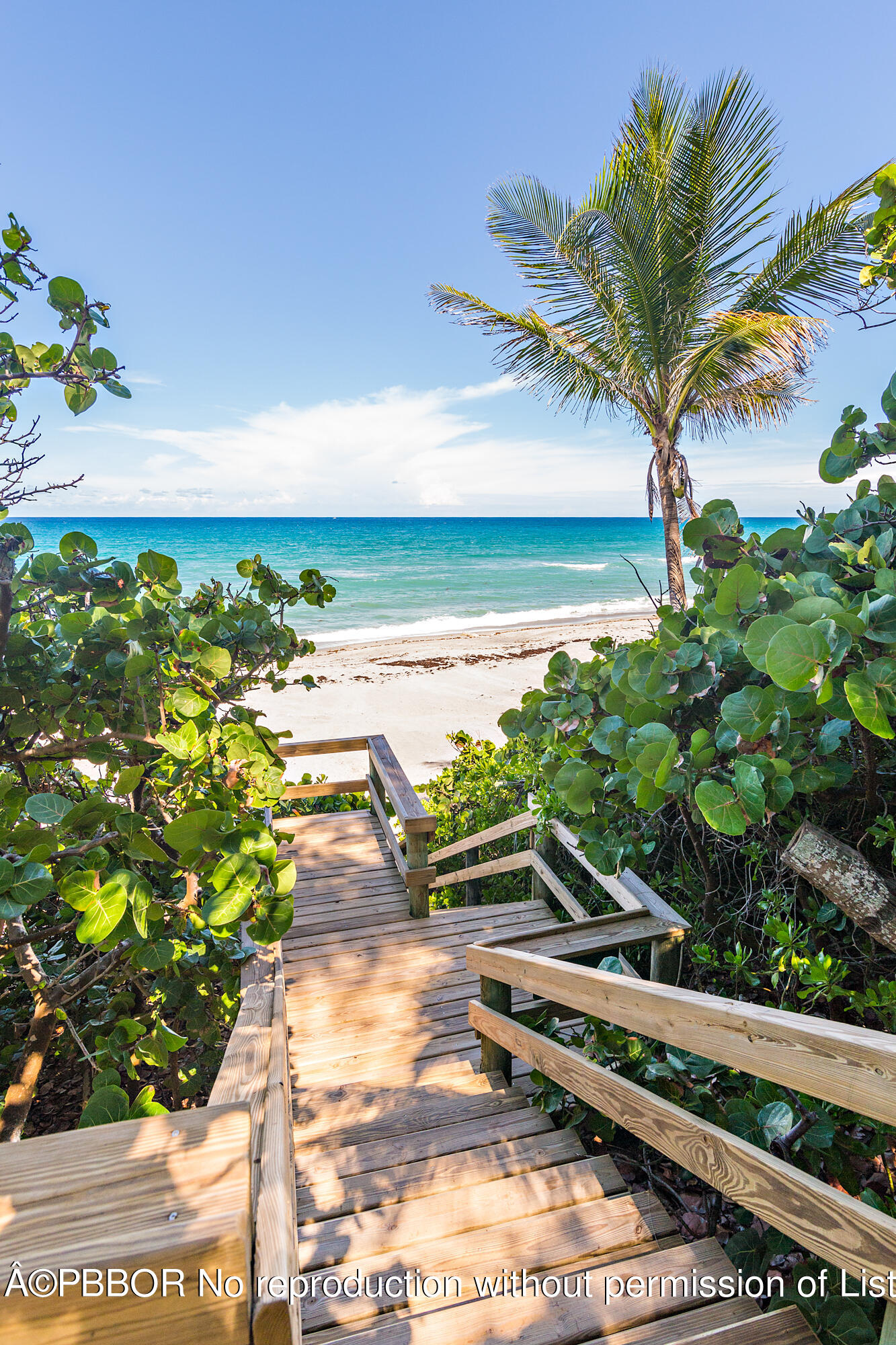 12358 Ridge Road North Palm Beach, FL 33408 - Photo 12 of 36 a view of a yard with an outdoor space