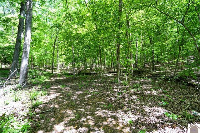 Lot 19-20 Post Oak Road Benton, KY 42025 - Photo 34 of 41 136588-2f000fab-3470-4885-8fe9-6aa47fba5