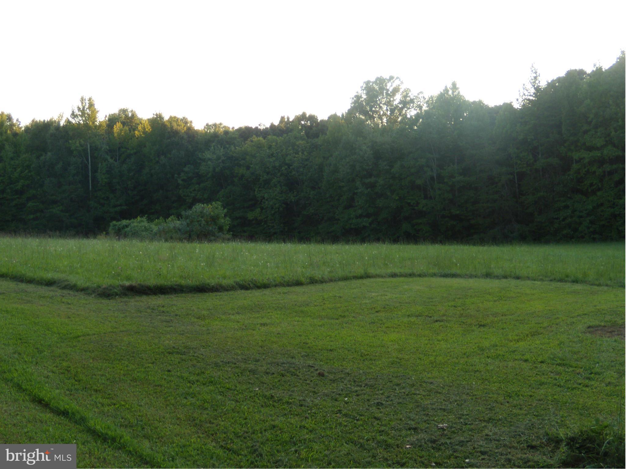 10032 Talley Road Spotsylvania, VA 22553 - Photo 12 of 15 side acreage