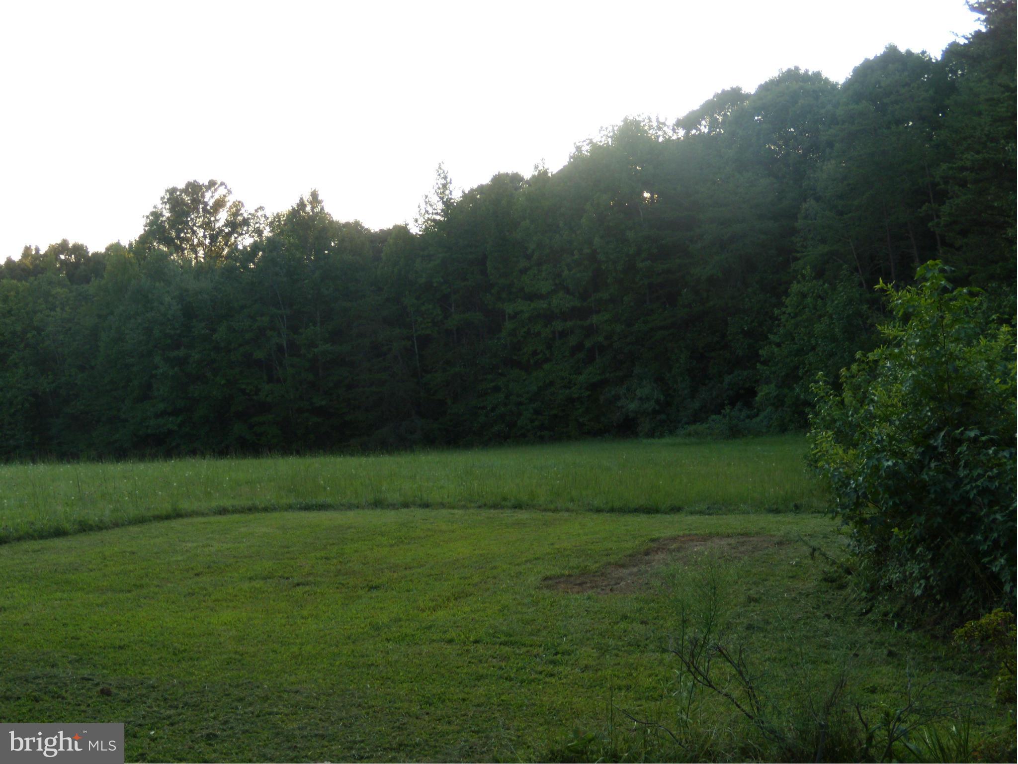 10032 Talley Road Spotsylvania, VA 22553 - Photo 13 of 15 side acreage