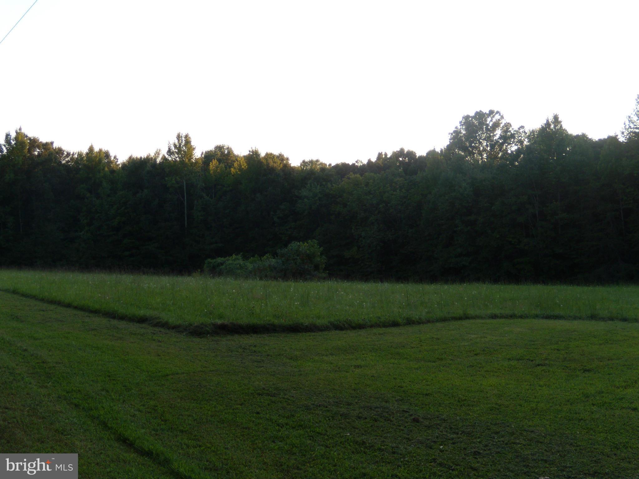 10032 Talley Road Spotsylvania, VA 22553 - Photo 14 of 15 side acreage