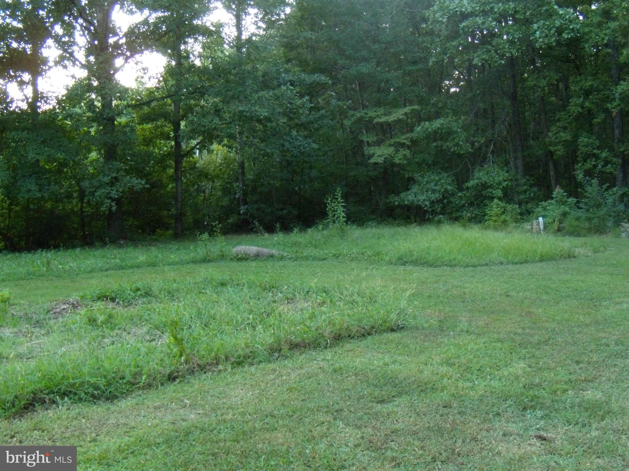 10032 Talley Road Spotsylvania, VA 22553 - Photo 15 of 15 backyard